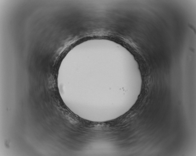 X0000103171160200809121854