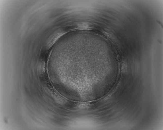 X0000103171161200809121854