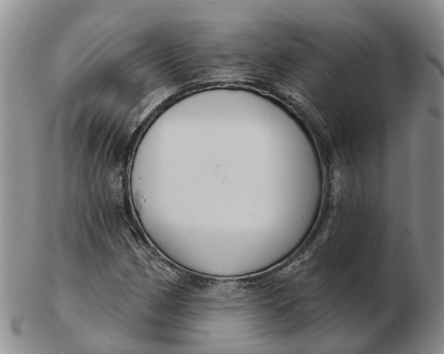 X0000103171162200809121854