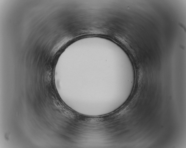 X0000103171163200809121854