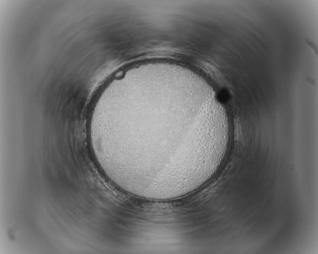 X0000103171164200809121854