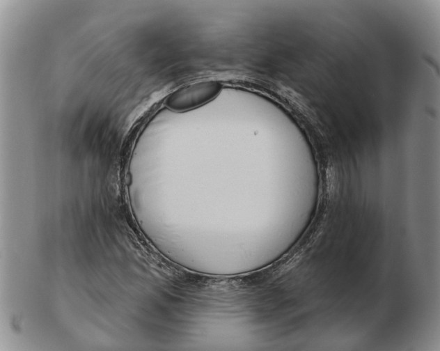 X0000103171165200809121854