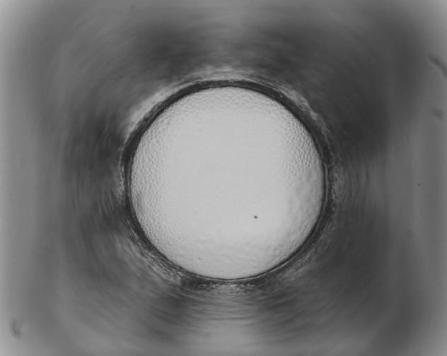 X0000103171167200809121854