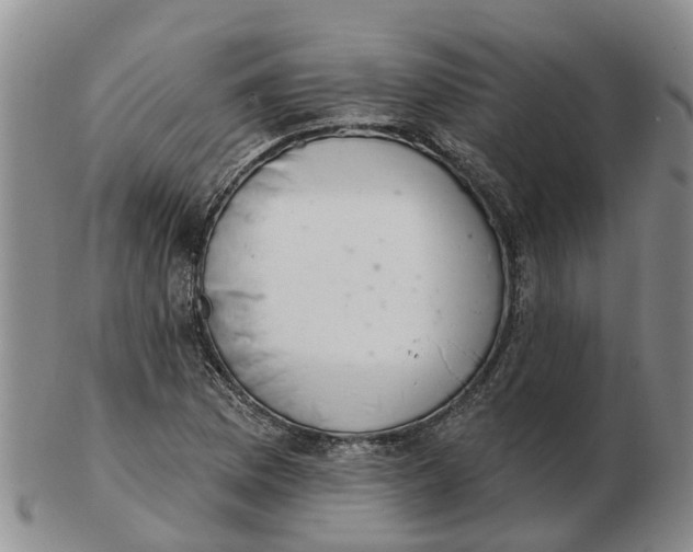 X0000103171169200809121854