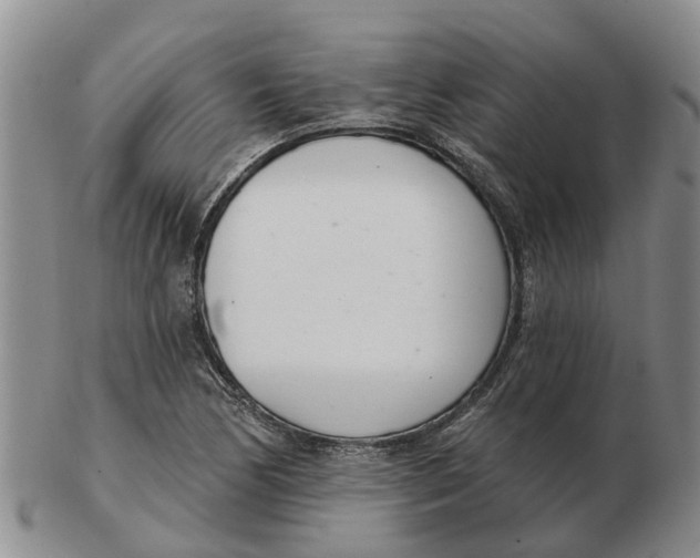 X0000103171170200809121854