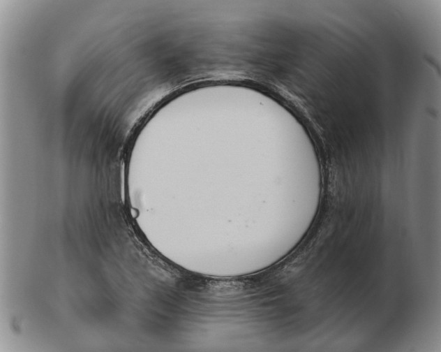 X0000103171171200809121854