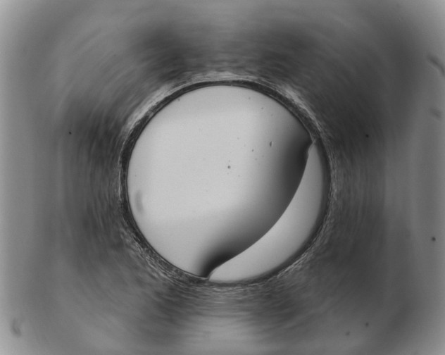 X0000103171173200809121854