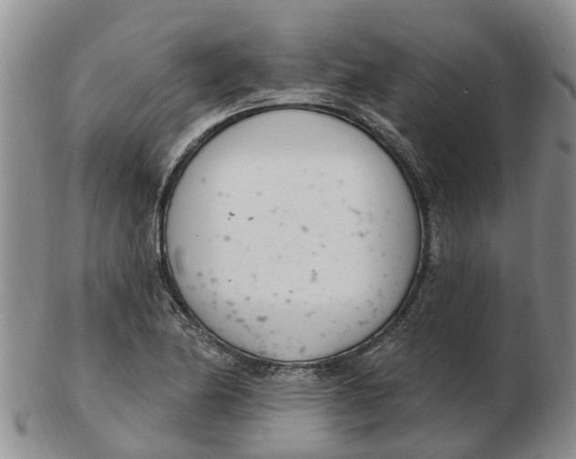 X0000103171174200809121854