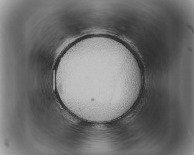 X0000103171175200809121854