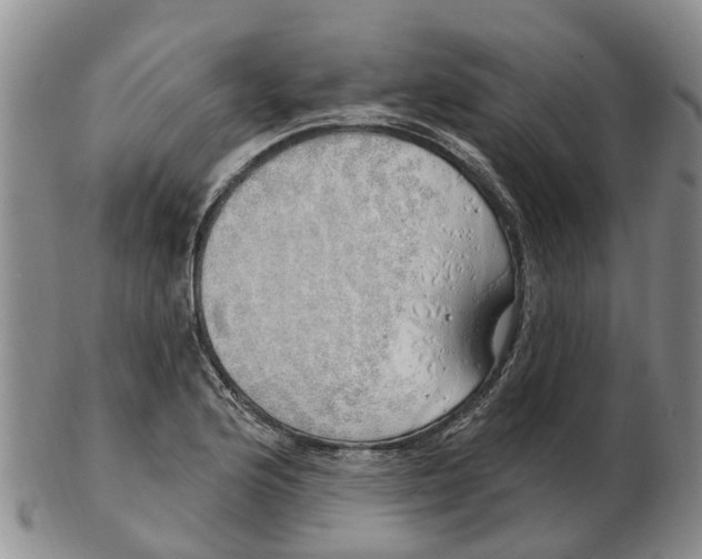 X0000103171176200809121854