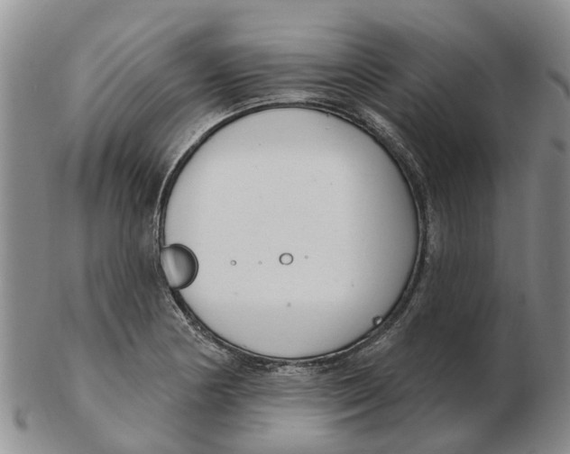 X0000103171178200809121854