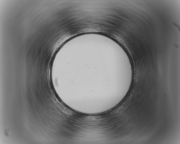 X0000103171179200809121854