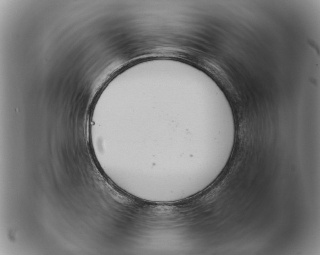 X0000103171180200809121854