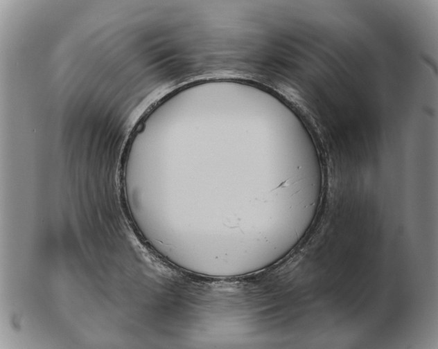 X0000103171181200809121854