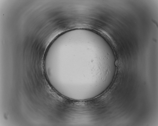 X0000103171182200809121854