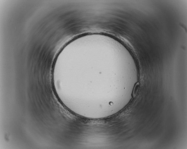 X0000103171183200809121854