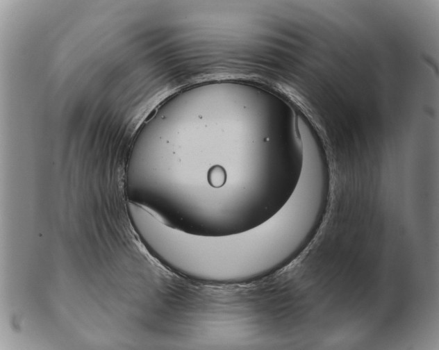 X0000103171185200809121854