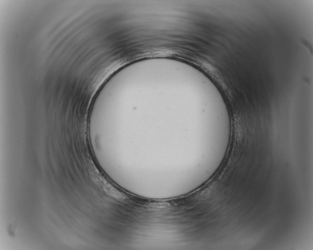 X0000103171186200809121854