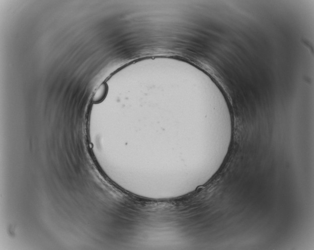 X0000103171187200809121854