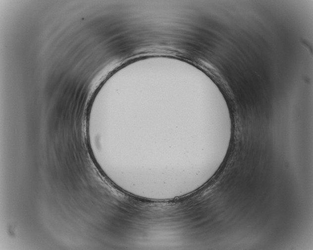 X0000103171188200809121854