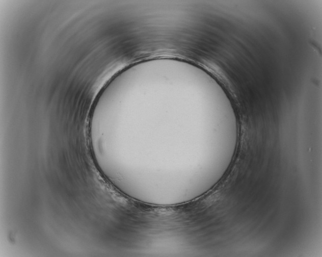 X0000103171190200809121854