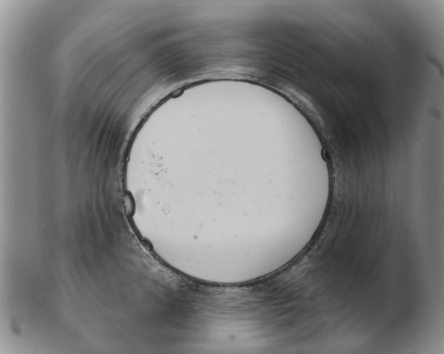 X0000103171192200809121854