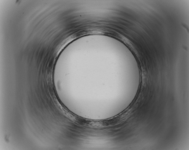 X0000103171194200809121854