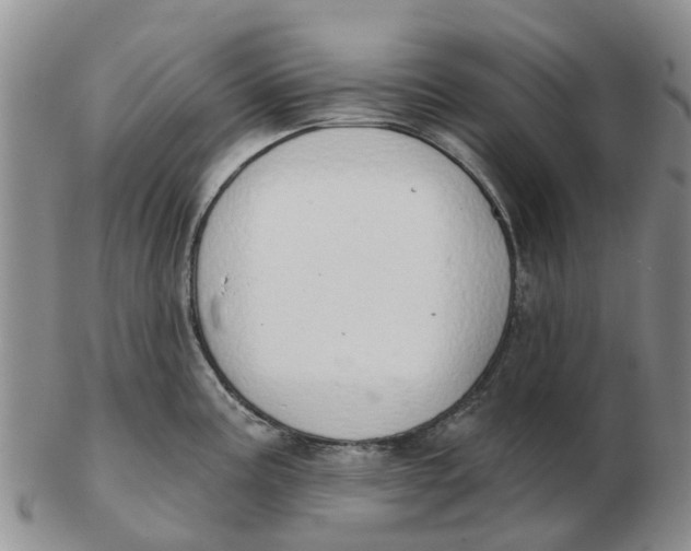 X0000103171195200809121854