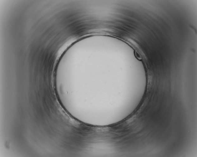 X0000103171196200809121854