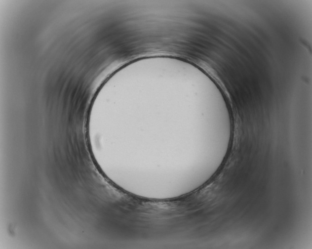 X0000103171197200809121854