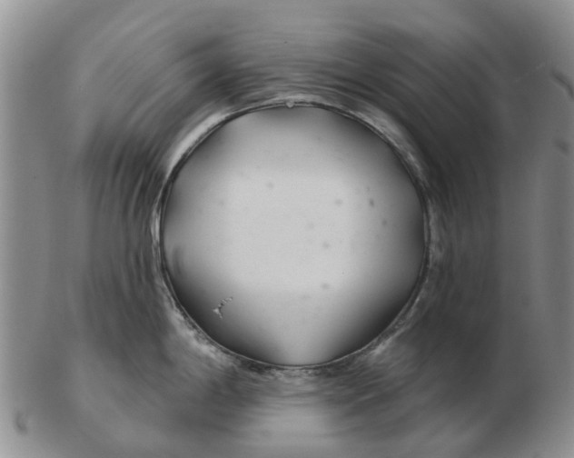 X0000103171198200809121854