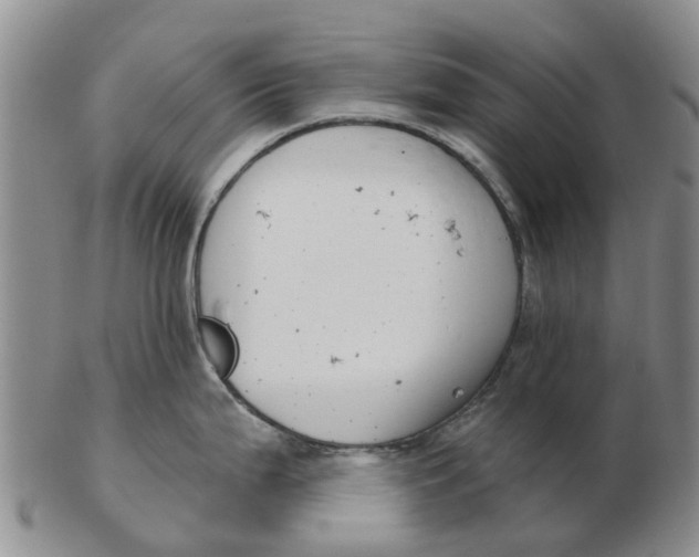 X0000103171199200809121854