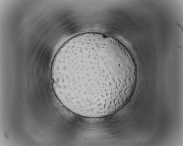 X0000103171200200809121854