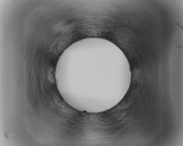 X0000103171202200809121853