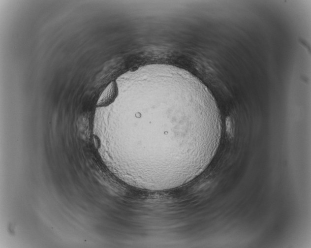 X0000103171203200809121853