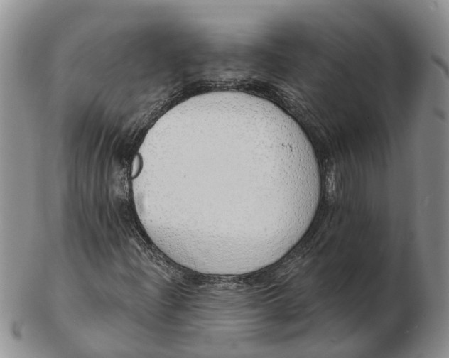 X0000103171204200809121853