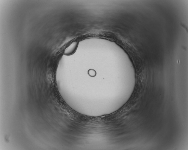 X0000103171206200809121853