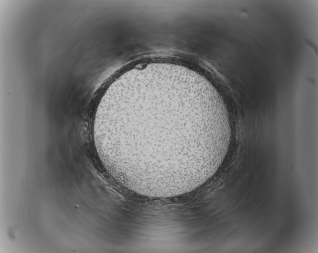 X0000103171208200809121853