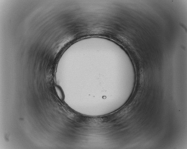 X0000103171210200809121853