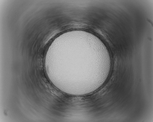 X0000103171211200809121853