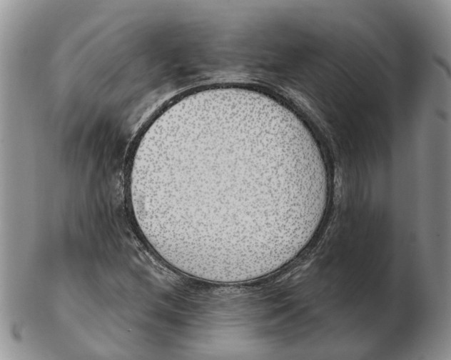 X0000103171212200809121853