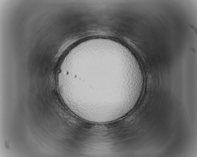 X0000103171215200809121853