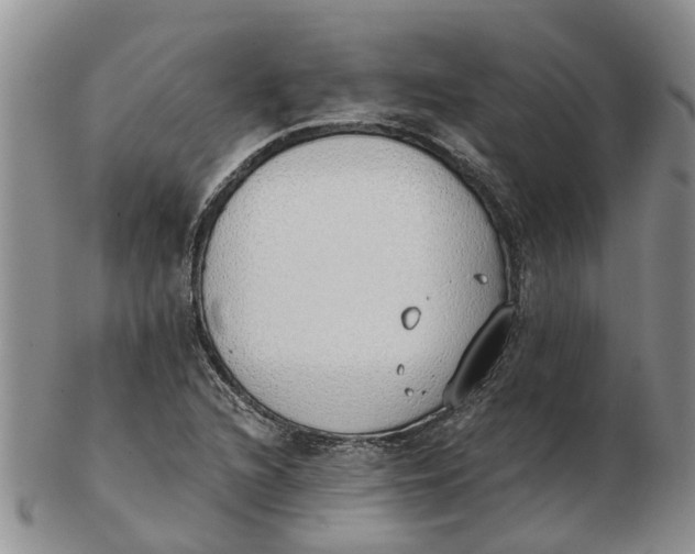 X0000103171216200809121853