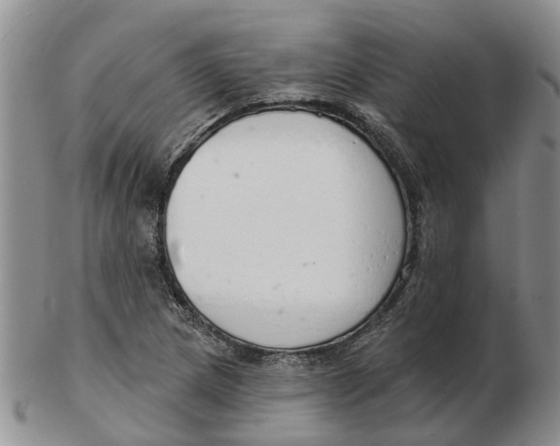 X0000103171217200809121853