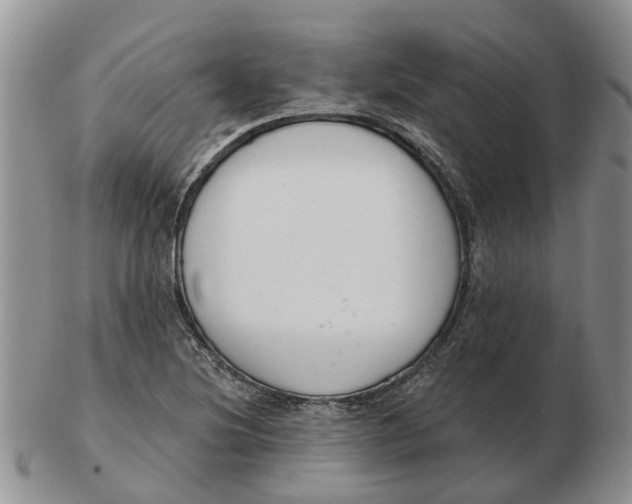 X0000103171220200809121853