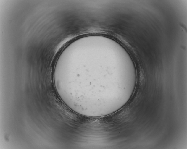 X0000103171222200809121853