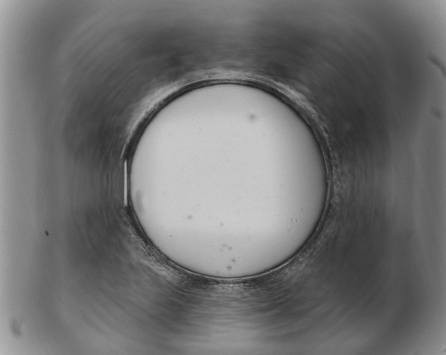 X0000103171223200809121853