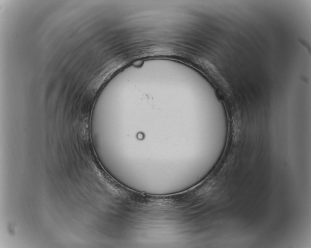 X0000103171225200809121853