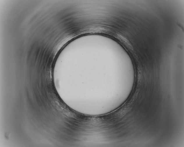 X0000103171226200809121853