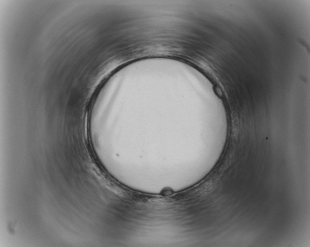 X0000103171227200809121853